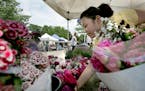 Melysia Cha shifted the flowers in a booth where she works during the St. Paul Farmers’ Market satellite market in Lakeville. Construction on Market
