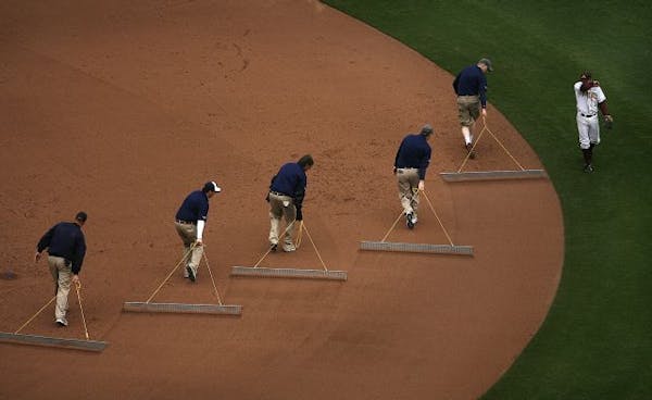 Gophers second baseman AJ Pettersen walked to his position as groundskeepers teamed up to groom the infield at Target Field on Saturday.
