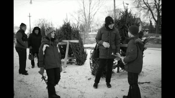 Troop 103's Christmas tree lot