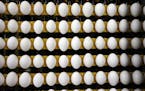 Several major food companies won an antitrust lawsuit against egg producers that alleged price-fixing between 2004 and 2008.