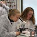 East Ridge High School students Emily Benson, center, and Taylor Johnson, right, used a microscope to look at slides of sickle cell anemia and healthy