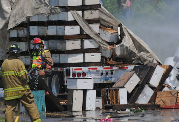 May 2010: Rescue efforts after a deadly rear-end collision were hindered by swarms of bees that were released by the force of the impact.