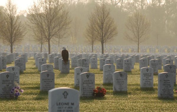 Frank Glick took this photo at Fort Snelling National Cemetery. When he recorded the shot, he never could have guessed how much it was going to mean t