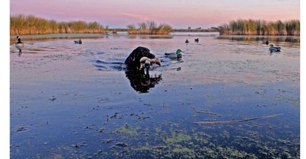 Loss of nation's wetlands is slowing, says Fish and Wildlife Service