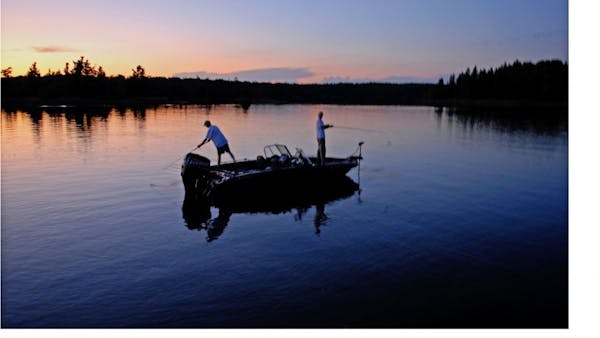 Lake of the Woods at sunset can be a magic time for muskie anglers. It's then oftentimes that the big fish that won't bit a cast lure during daylight 