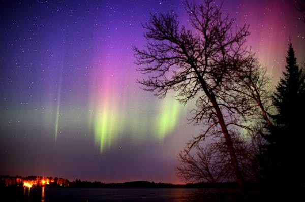 Recent solar activity has presented the patient observer with some of the best viewing since 2004. This photo of the northern lights over Lake Elora i