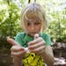 Lori Anne Madison, 6, of Lake Ridge, Va., looks at a snail she collected while playing with friends in McLean, Va., on Friday, May 11, 2012. Lori Anne