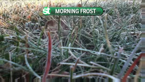 Afternoon forecast: Chilly night, but no frost in metro