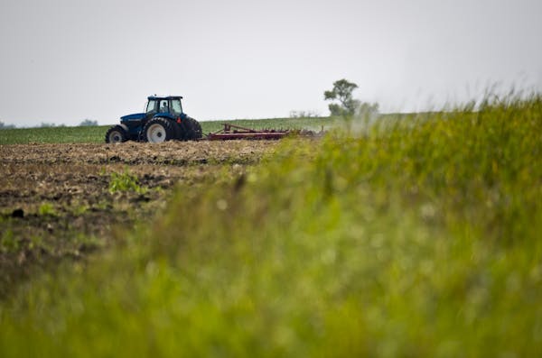 A farmer plowed a recently broke prairie near Appleton, Minn., on Tuesday, August 14, 2012.