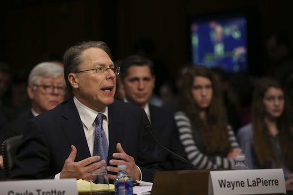 Wayne La Pierre, the head of the National Rifle Association, speaks during a hearing of the Senate Judiciary Committee, on Capitol Hill in Washington,