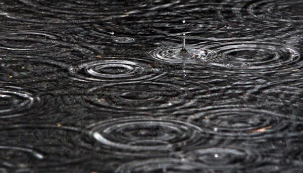 Afternoon forecast: Rain and sleet, high of 39