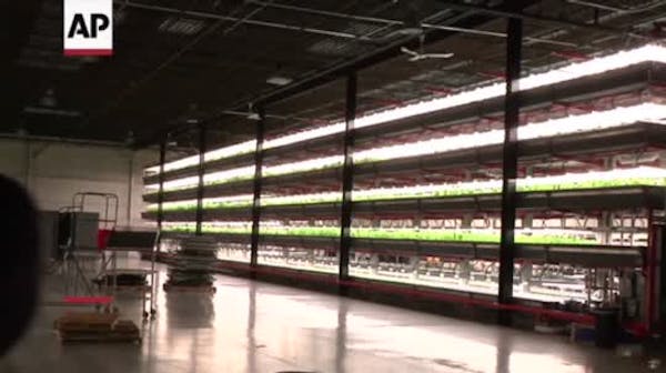 Indoor farm goes 'mega' near Chicago