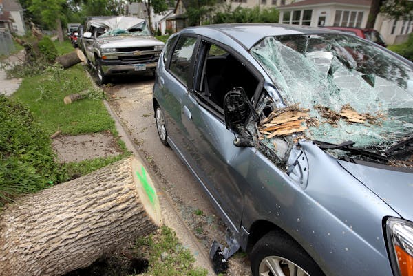 Two vehicles on Longfellow Ave., have the damaging tree removed from on top of them.