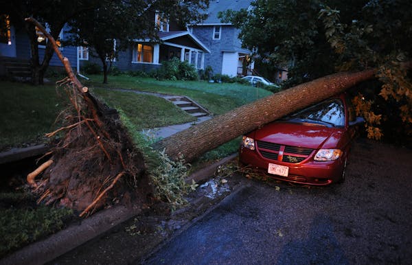 A downed tree rested on a car on the 1000 block of 21st Avenue SE. after a wave of severe storms moved through Minneapolis on Friday. Now some homeown