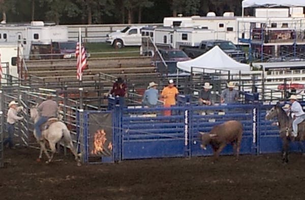A rodeo bull injured eight people after getting loose at the Dakota County Fairgrounds Wednesday night.