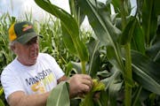 Tom Haag, president of the Minnesota Corn Growers Association, went along to China, Minnesota’s second-biggest trading partner.