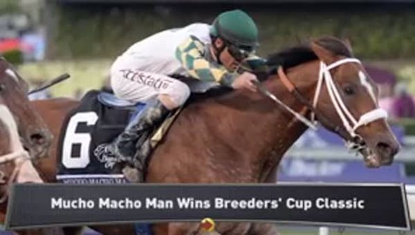 Mucho Macho Man wins $5M Breeders' Cup Classic