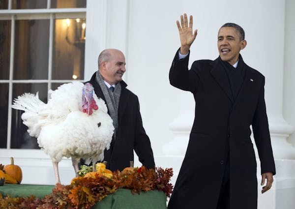 Obama pardons Minnesota turkeys