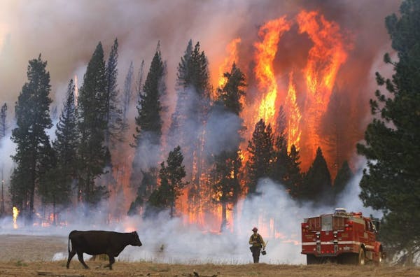 Yosemite fire nears San Francisco water source