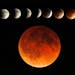 April 15, 2014: This multi-exposure of the lunar eclipse was made from 1 a.m. Tuesday and continuing until the full eclipse of the moon at 2:46 a.m.