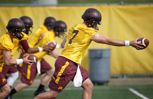 The Gophers are relying on quarterback Mitch Leidner to add another dimension to their offense: a long-range pass attack.