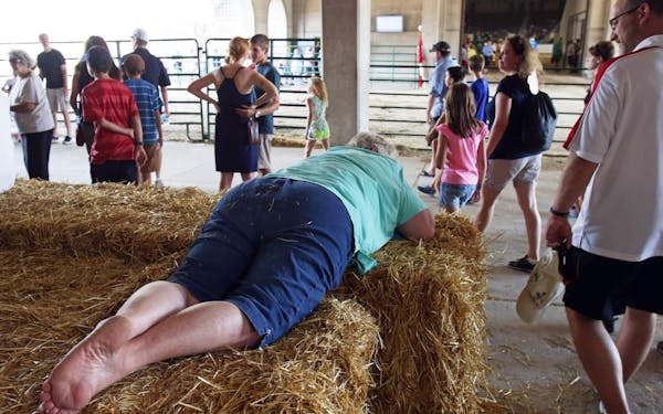 A fairgoer takes a breather outside the cattle barn at the Minnesota State Fair.