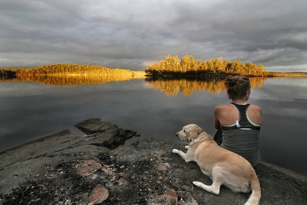 Megan Smith and her yellow Lab, Macy, enjoy a spectacular sunset on a BWCA lake.