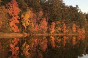 Fall colors light up Dunham Lake in Burnett County, Wisconsin.