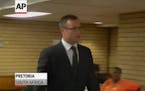Prosecutor argues Pistorius seen as 'victim'