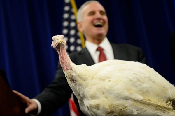 Gov. Dayton gives turkey send-off