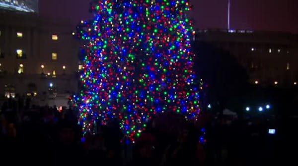 Christmas tree lights up Capitol Hill in DC