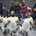 Visitors follow king penguins (aptenodytes patagonicus) as they march through the Zoo in Basel, Switzerland, Thursday, Dec. 18, 2014. The king penguin