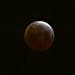 A lunar eclipse is observed as seen from Echo Park district of Los Angeles on Saturday, April 4, 2015.
