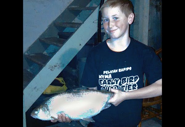 Austin Stoll caught a tullibee (also known as a cisco) weighing 5 pounds, 13 ounces, while fishing last month in Sybil Lake in Otter Tail County. It b