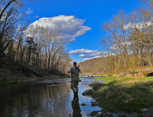 John Quinn of Golden Valley fished for trout in Whitewater State Park last week during the catch-and-release season that preceded Saturday’s trout o