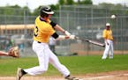An earlier grand slam hit by Waconia's Jacob Stevenson helped lead the Wildcats to a his team to a 6-5 victory over Eden Prairie on Monday.