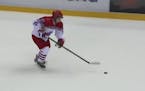 Russia's Putin displays his hockey skills