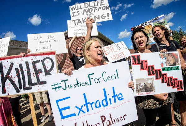 Kristen Hall led the group of protesters from Animal Rights Coalition and Minnesota Animal Liberation in chants in front of Dr. Walter Palmer's dental