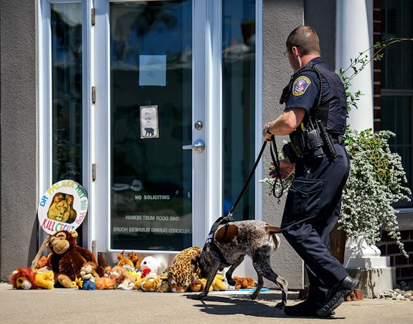 A Bloomington police K-9 explosives detection team checked out a side entrance to River Bluff Dental in Bloomington, owned by Dr. Walter Palmer, who i