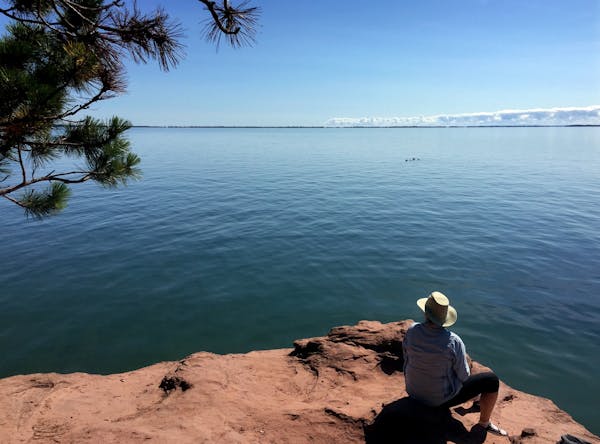 Opponents of a proposed large-scale hog facility in the Lake Superior watershed are worried about possible pollution runoff.