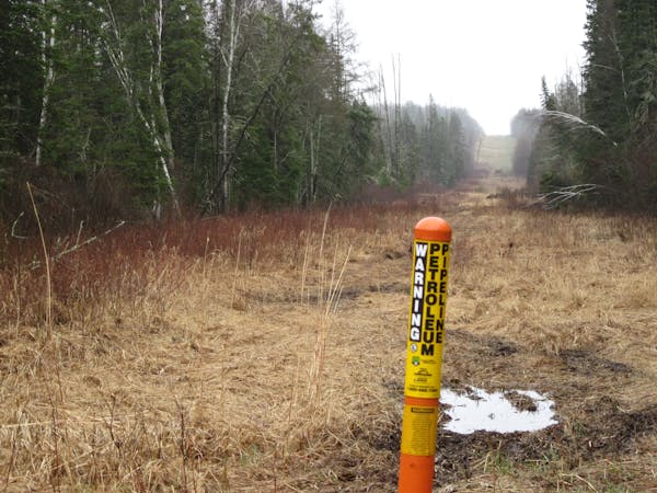 A view of the right-of-way for the proposed Sandpiper pipeline, near Park Rapids, Minn. The pipeline may not be built because its main backers, includ