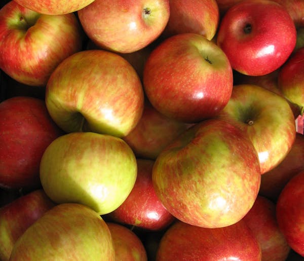 Honeycrisp apples at the Nicollet farmers market.