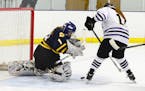 Wayzata goaltender Sarah Stelter denied Storm Hawks forward Mollie Wise for one of her 21 saves in a 3-0 shutout Tuesday night at the Chaska Community