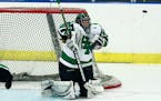 Goaltender Mari Johnson and Hill-Murray will again be formidable. The Pioneers are two-time defending Class 2A champions.