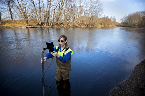 Sarah Jo Schmitz of the Sauk River Watershed District used a meter to track the river’s flow south of St. Joseph, Minn.
