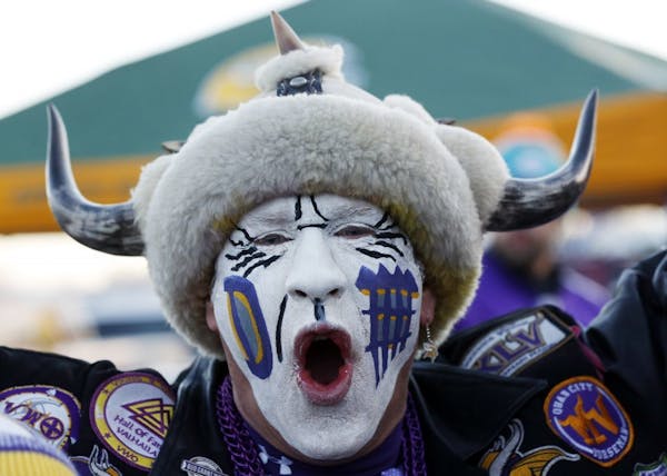 Minnesota Vikings fan Brett Steele cheers before an NFL football game against the Green Bay Packers Sunday, Jan. 3, 2016, in Green Bay, Wis.