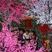 A Chinese family take a selfie in front of trees decorated with light installations for the upcoming Chinese Lunar New Year at a shopping mall in Beij
