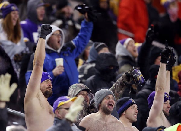 Shirtless Vikings fans cheered in the forth quarter Sunday, December 27, 2015 against the Giants. Win Sunday against the Packers and more home games a