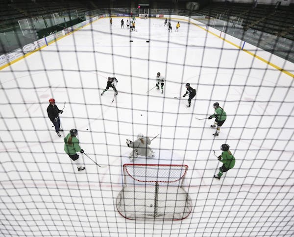 The proposal to allow sales of beer and wine at Edina's Braemar Arena is intended solely for the Robertson Cup, a national junior hockey tournament th