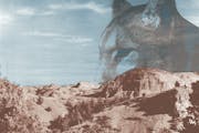 An encounter with mountain lion in North Dakota's Badlands still resonates.